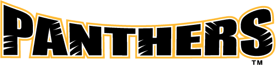 Wisconsin-Milwaukee Panthers 2002-2010 Wordmark Logo DIY iron on transfer (heat transfer)